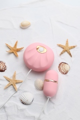 小贝壳（高级款)