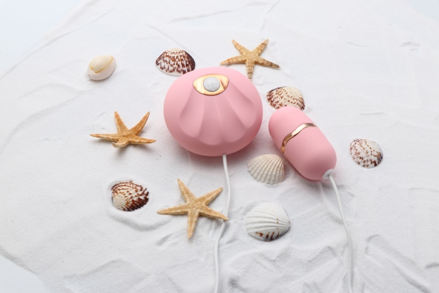 小贝壳（高级款)