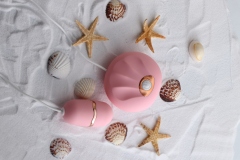 小贝壳（高级款)