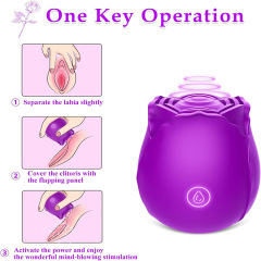 Water droplets pat the rose