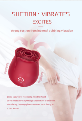 beautiful young lady