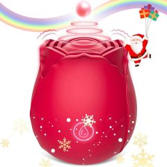 Water droplets pat the rose