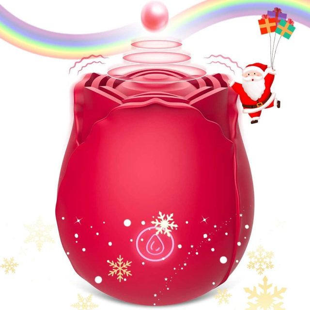 Water droplets pat the rose