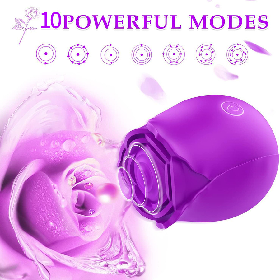 Water droplets pat the rose