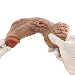 QS-H025  Liquid silicone dildo