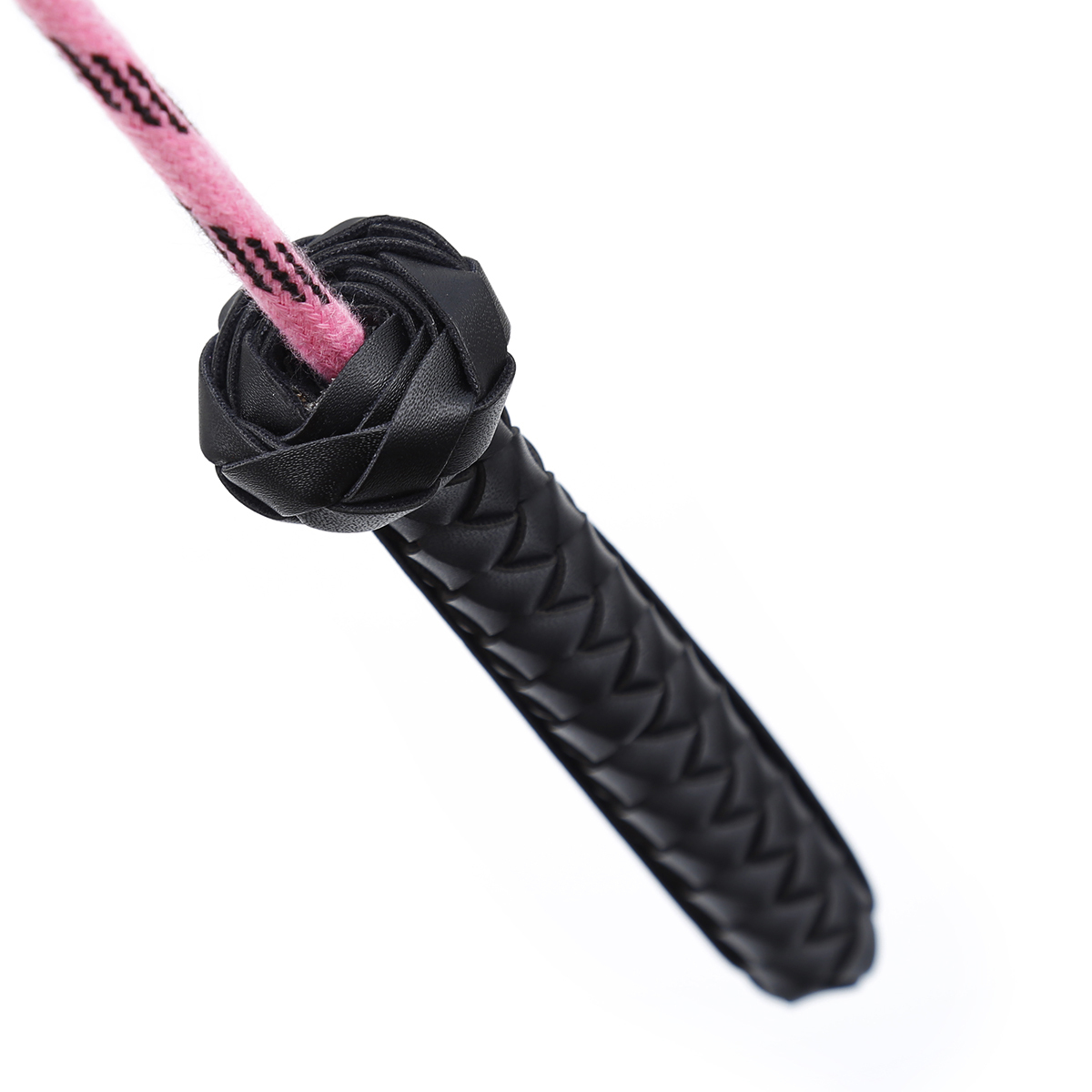 291302022  Whip