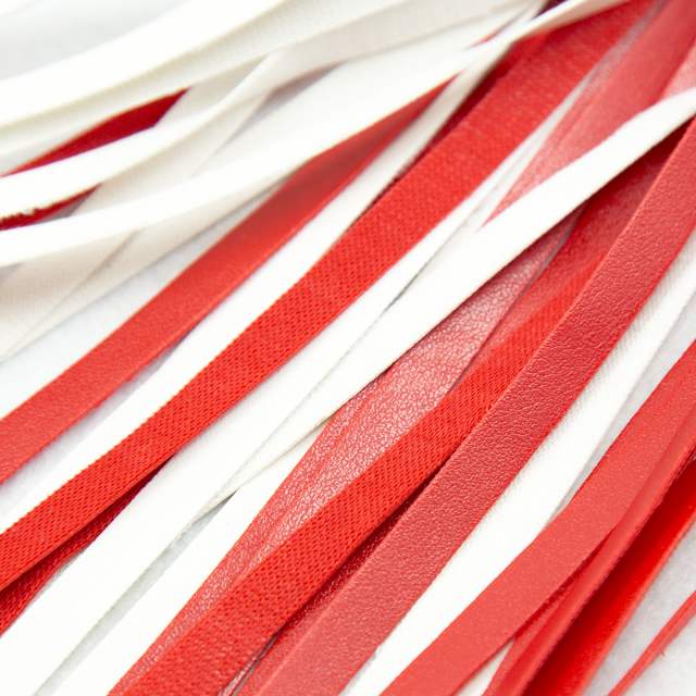 292400112  flogger Whip