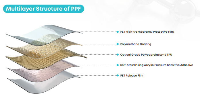 Multilayer Structure of PPF