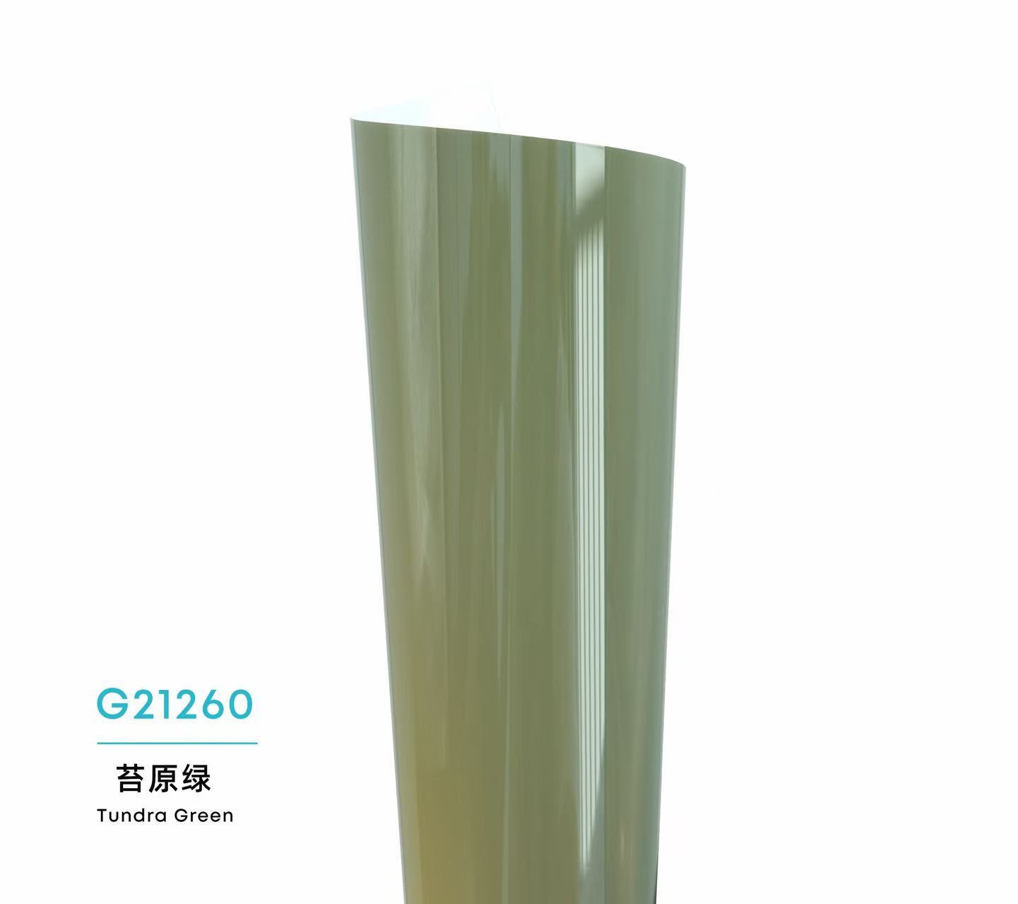 Color Glossy PPF-Tundra Green