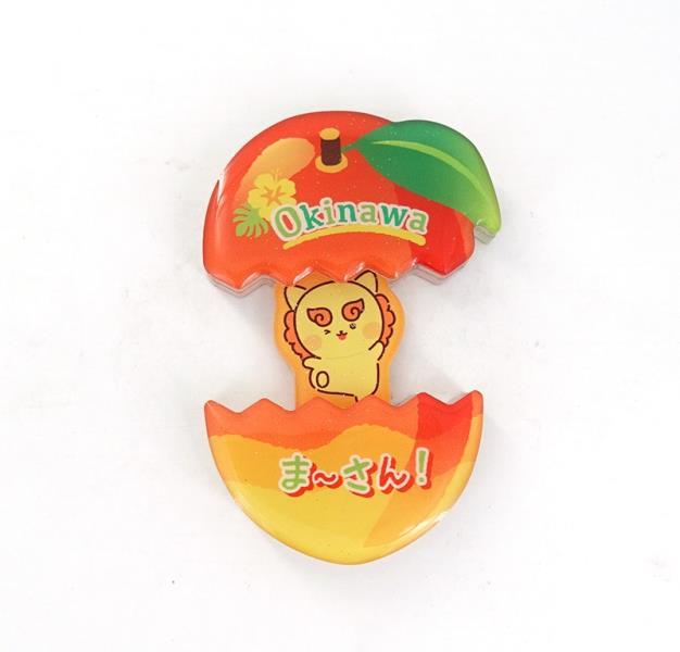 ACRYLIC MAGNET