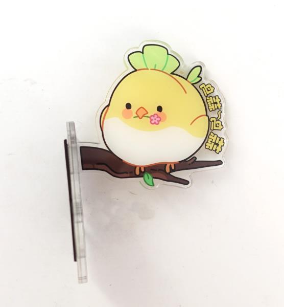 ACRYLIC MAGNET