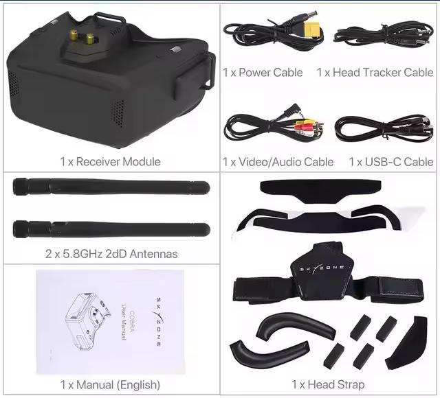 FPV Goggles