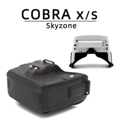 FPV Goggles