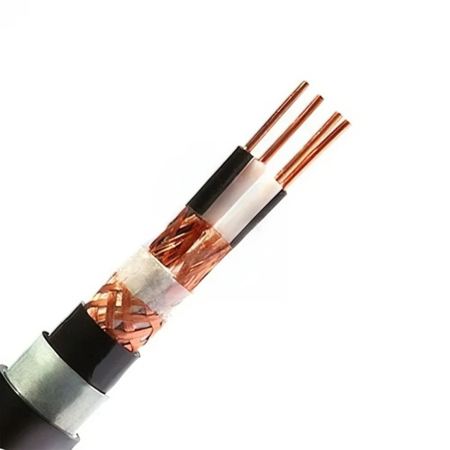 Computer shielded cable DJYPVP22