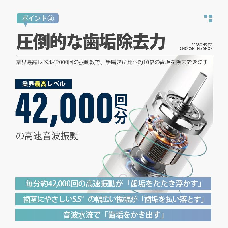 電動歯ブラシ 替えブラシ 音波歯ブラシ 充電式 本体 超音波 歯ブラシ IPX7 防水設計 歯磨き 静音 強力 おしゃれ 携帯 口臭予防 歯石予防 子供 大人