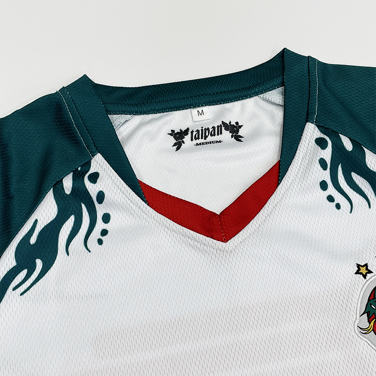 Custom Soccer Jersey with Embroidered Logo & Heat Transfer Number
