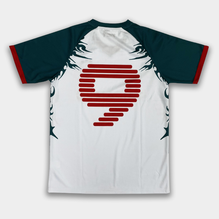 Custom Soccer Jersey with Embroidered Logo & Heat Transfer Number