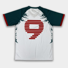 Custom Soccer Jersey with Embroidered Logo & Heat Transfer Number