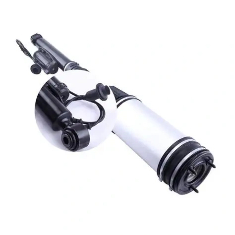 Factory Direct Rear Shock Absorber for Mercedes S320 Models Best Quality New Hot Selling