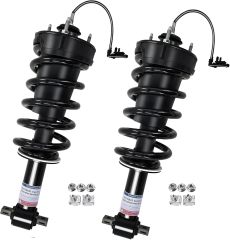 Automotive Shock Absorber 84176631 Direct Sales for Cadillac Escalade Factory