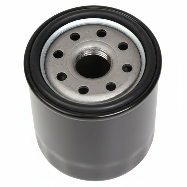 Mygt Oil Filters Suitable for Toyota Camry, RAV4 90915-Yzze1 and 90915-10001
