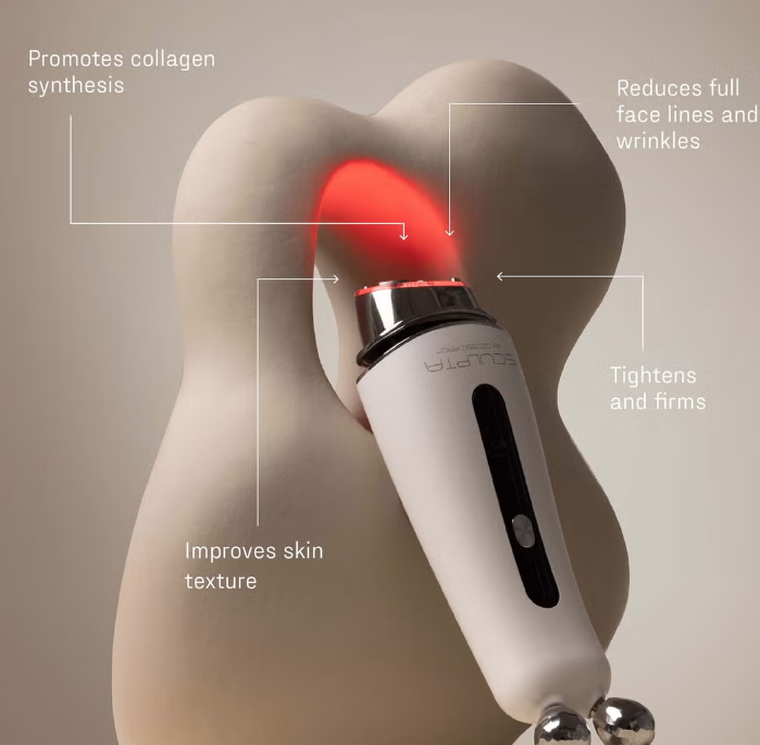 Handheld Skin Care Facial Beauty Home Use Equipment Device RF Multi-functional Multifunctional Beauty Equipment