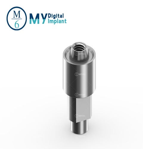 M6 zimmer MUA analog