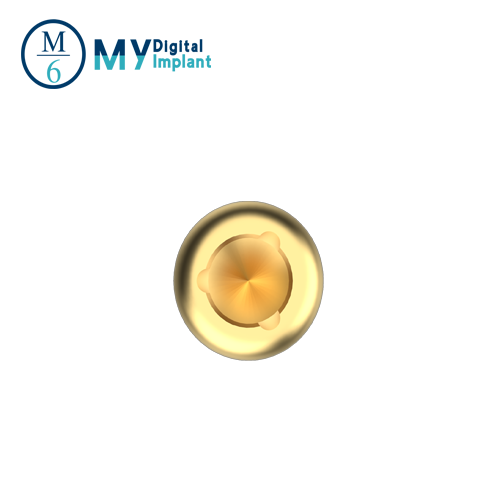 Sweden Martina dental locator abutment