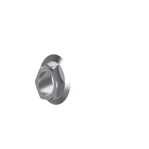M6 Biohorizons implant dental locator abutment