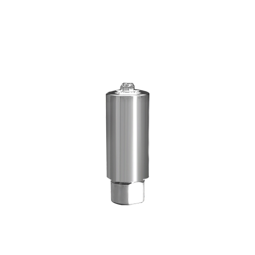Dentium simple line II compatible titanium premilled blank(10mm)