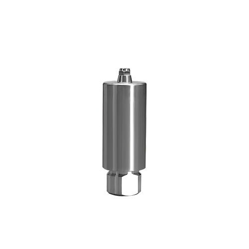 NeoBiotech compatible dental titanium premilled blank 10mm for Arum Imesicore holder China factory OEM service