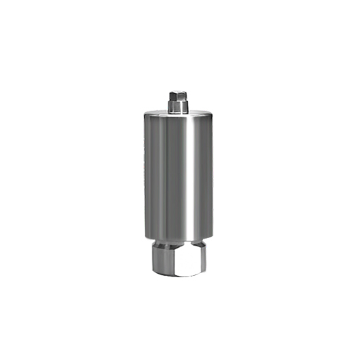 BB compatible dental titanium premilled blank 10mm for Arum Imesicore holder China supplier OEM