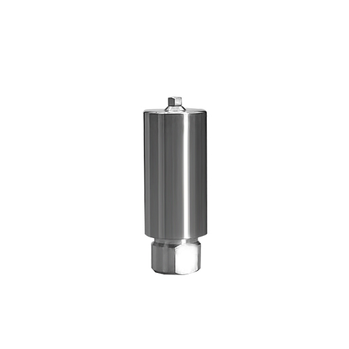 MIS C1 compatible dental titanium premilled abutment blank 10mm made in China