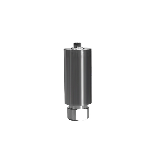 Thommen (SPI) compatible titanium premilled blank(10mm)