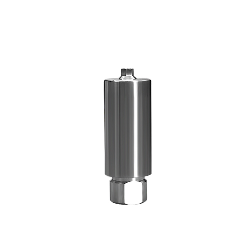 Alphabio SPI dental titanium preformed blank 10mm for Arum Imesicore holder China professional factory OEM available