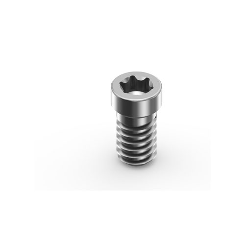 M6 straumann TL MUA titanium dental screws