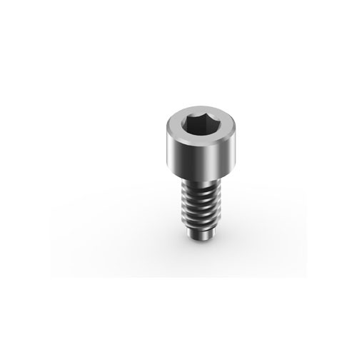 M6 titanium dental MUA screws for Megagen AnyOne AnyRidge