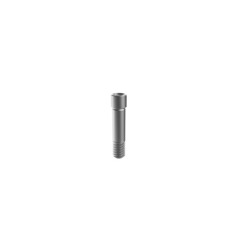 M6 Dental Fixture Titanium Screws for Megagen AnyRidge AnyOne, Mini implant