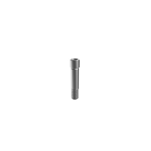 M6 Dental Fixture Titanium Screws for Megagen AnyRidge AnyOne, Mini implant