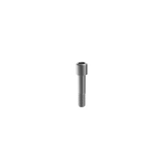 M6 Dental Fixture Titanium Screws for Megagen AnyRidge AnyOne, Mini implant