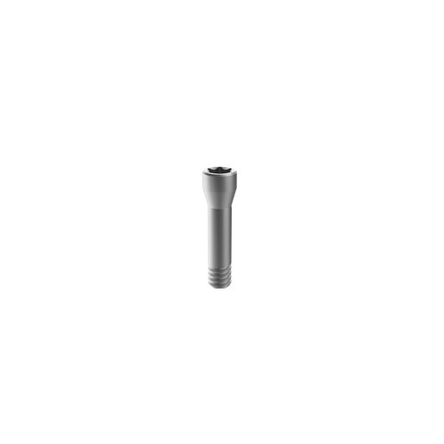 M6 Straumann Bone Level Titanium dental fixture replacement screws