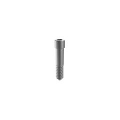 Warantec IT dental implant abutment screw