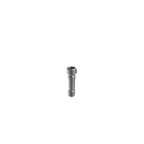 M6 Straumann BLX Titanium dental fixture replacement screws