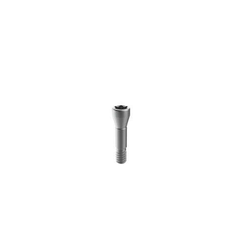 M6 Straumann sc Titanium dental fixture replacement screws