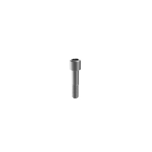 M6 Dental fixture titanium screws for BB implant