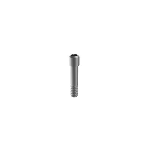 M6 Dental fixture titanium screws for Biomet 3i certain implant