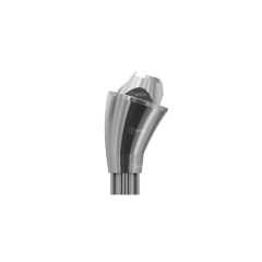 Straumann BLX compatible angled multi-unit abutment