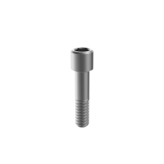 Tornillos de titanio para fijación dental M6 para implante BB