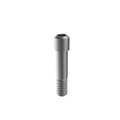 M6 Dental fixture titanium screws for Biomet 3i certain implant