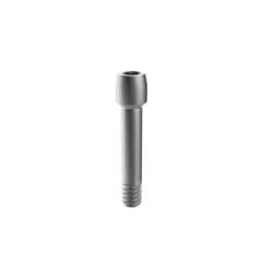 Tornillo de pilar permanente final M6 de China para implante Osstem GS TS US